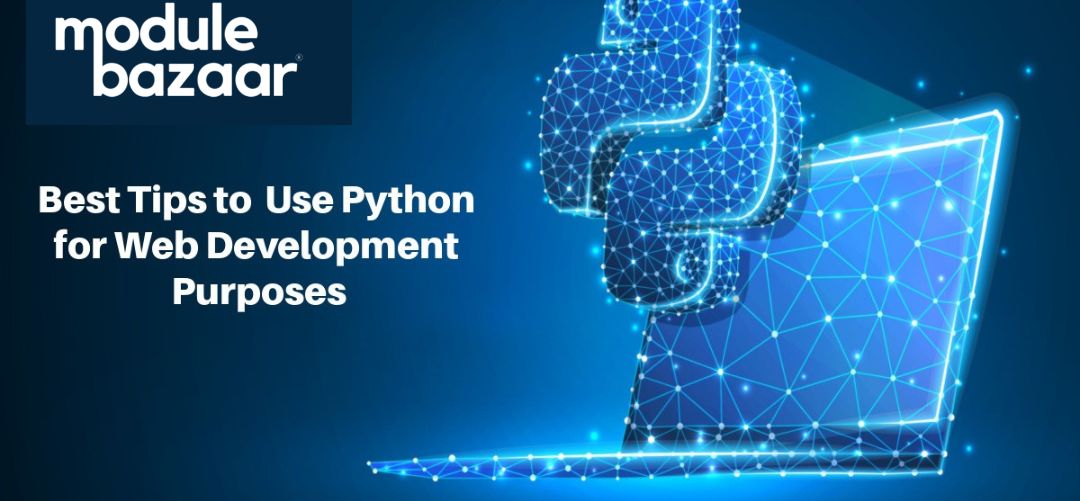 Python for web development