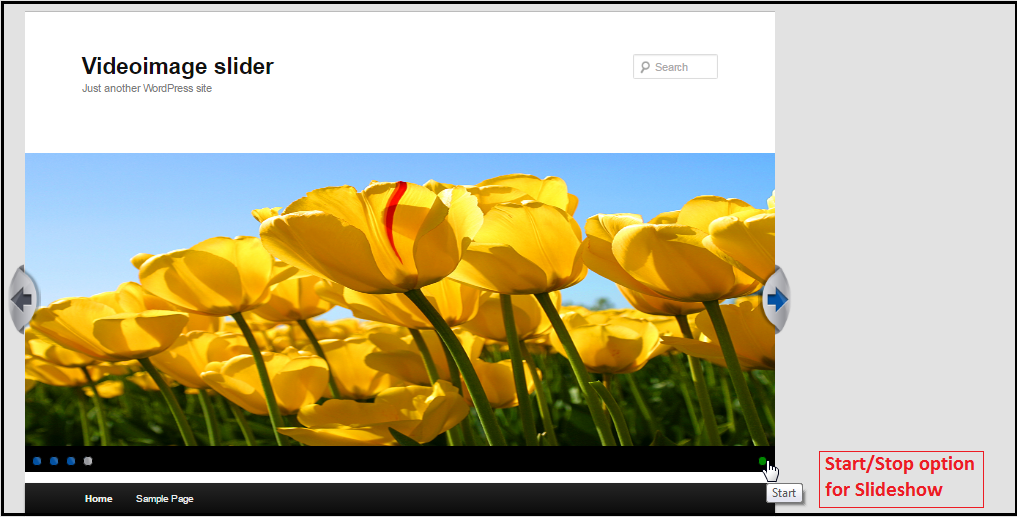 WordPress Video and Image Slider plugin