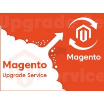 Magento Upgrade Service