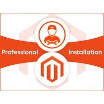 Magento Professional Installation Service