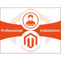 Magento Professional Installation Service