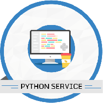 10 Hours Python Services