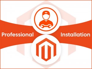 Magento Professional Installation Service