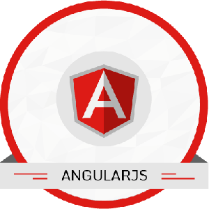 10 Hours AngluarJs Developement services