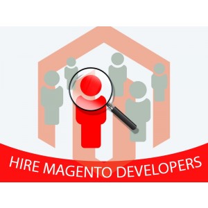 Hire Magento Developer