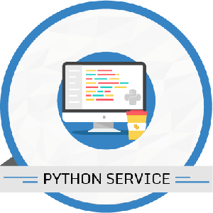 10 Hours Python Services