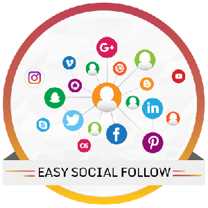 social follow