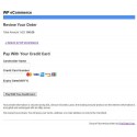 Firstdata payment