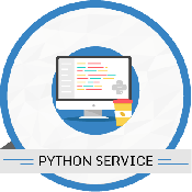 10 Hours Python Services