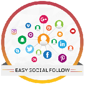 Easy Social Follow WordPress Plugin 