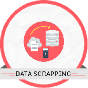 10 Hours Product Data Scrapping 